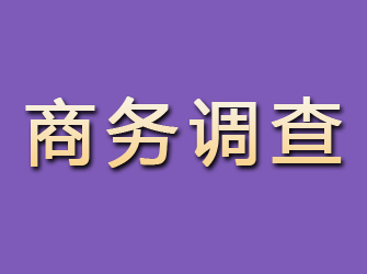 桦川商务调查